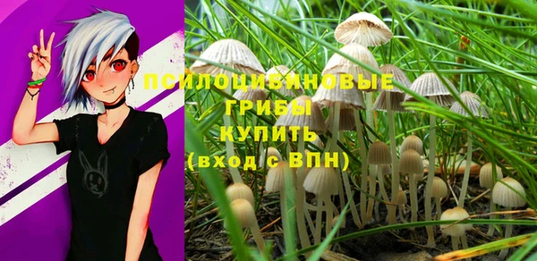 таблы Алзамай