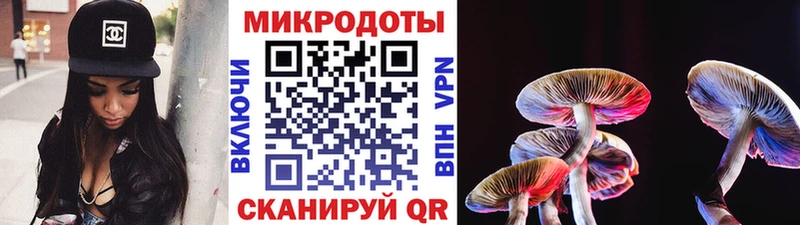 Галлюциногенные грибы Psilocybe Дятьково
